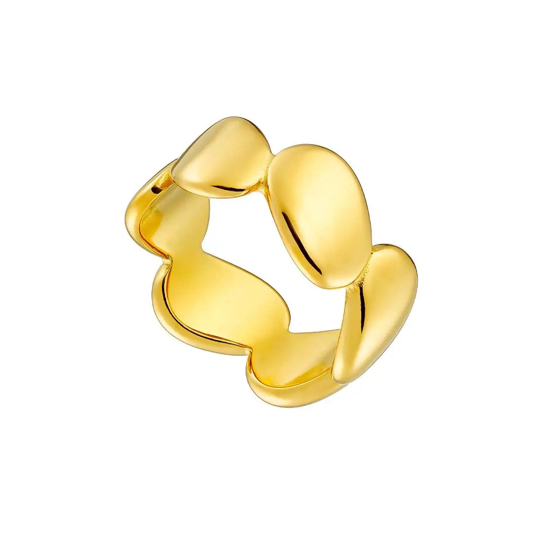 Ring N02491W Made of Stainless Steel