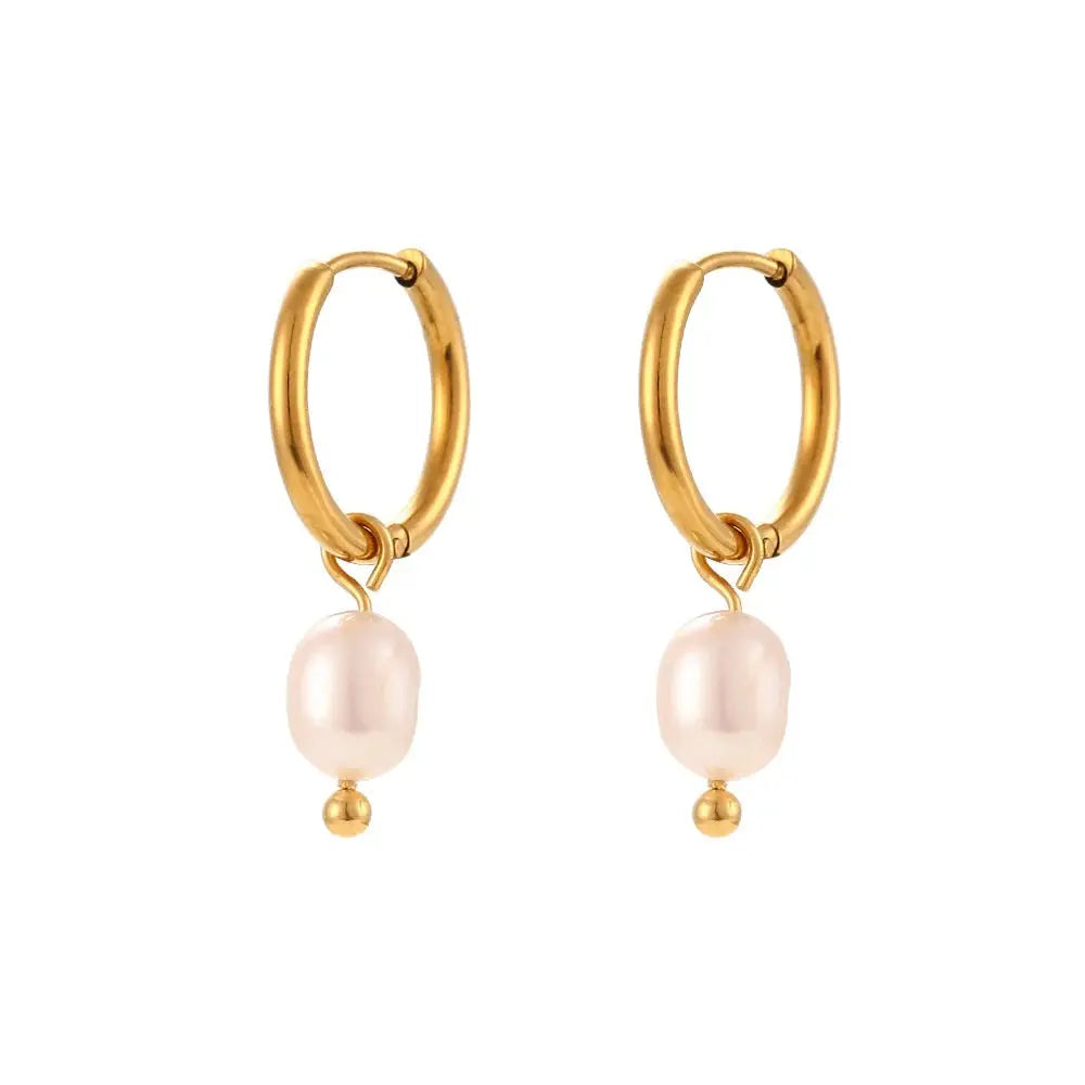 Earrings N02200G Steel Hoops with Multicolored Zirconia