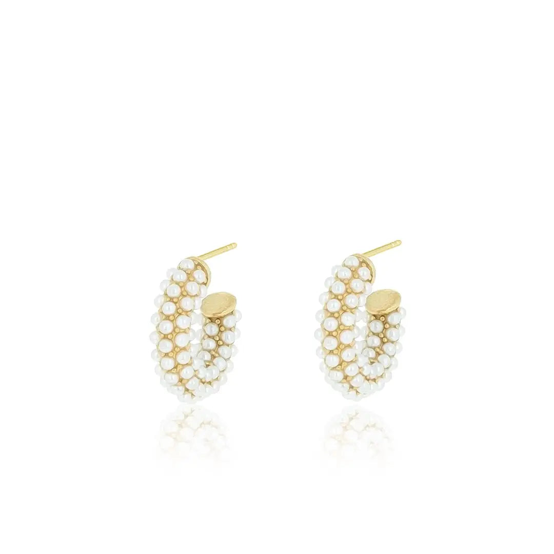 N02183G Gold Plated Steel Heart Dangle Earrings