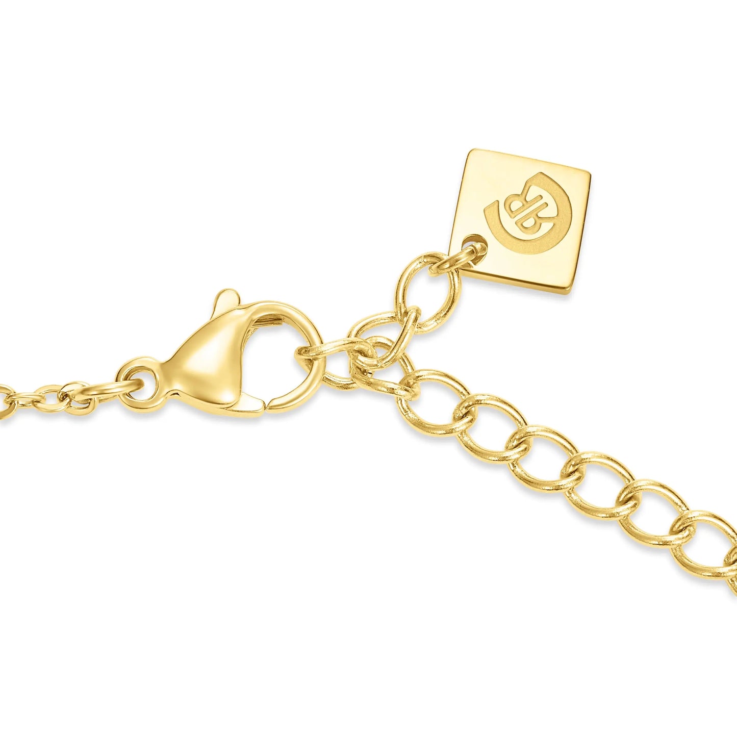 Cerruti CIJLN0010804 Gabriella Κολιέ Από Επιχρυσωμένο Ατσάλι