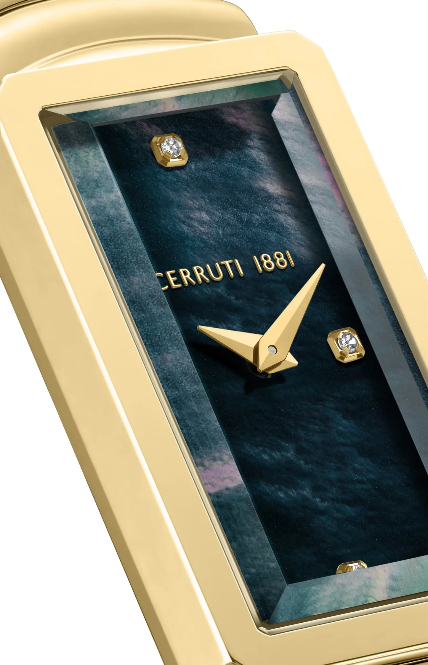 Cerruti CIWLG0086204 Vaccucciole Gold Stainless Steel Bracelet