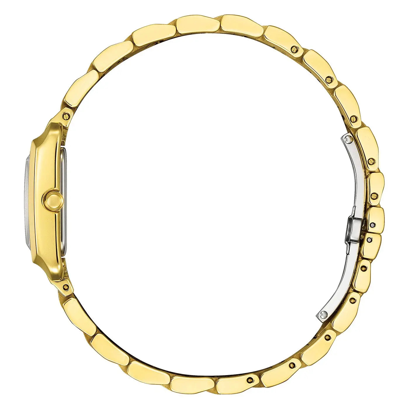 Citizen EW5602-81D Eco-Drive Gold Stainless Steel Bracelet