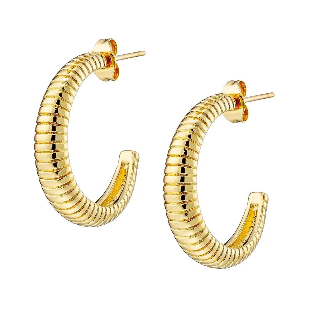 Earrings N02200G Steel Hoops with Multicolored Zirconia