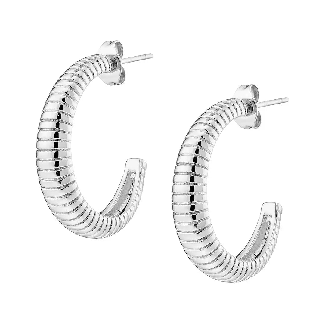 Earrings N02200G Steel Hoops with Multicolored Zirconia