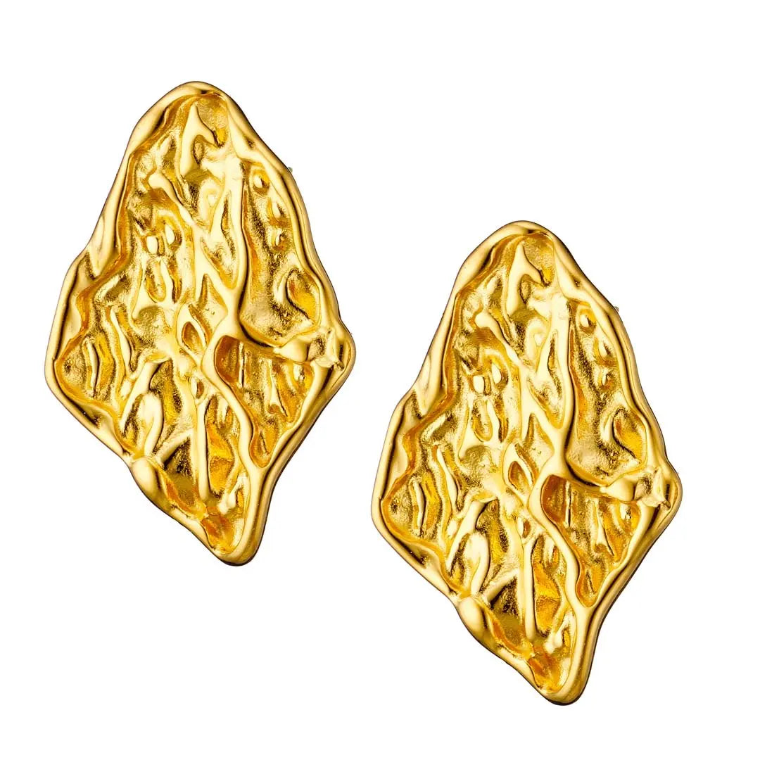 Earrings N02200G Steel Hoops with Multicolored Zirconia