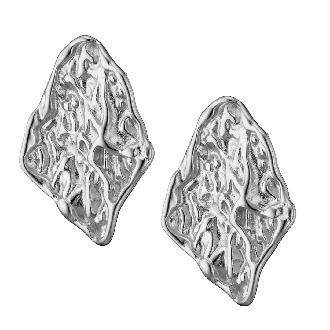 Earrings N02200G Steel Hoops with Multicolored Zirconia