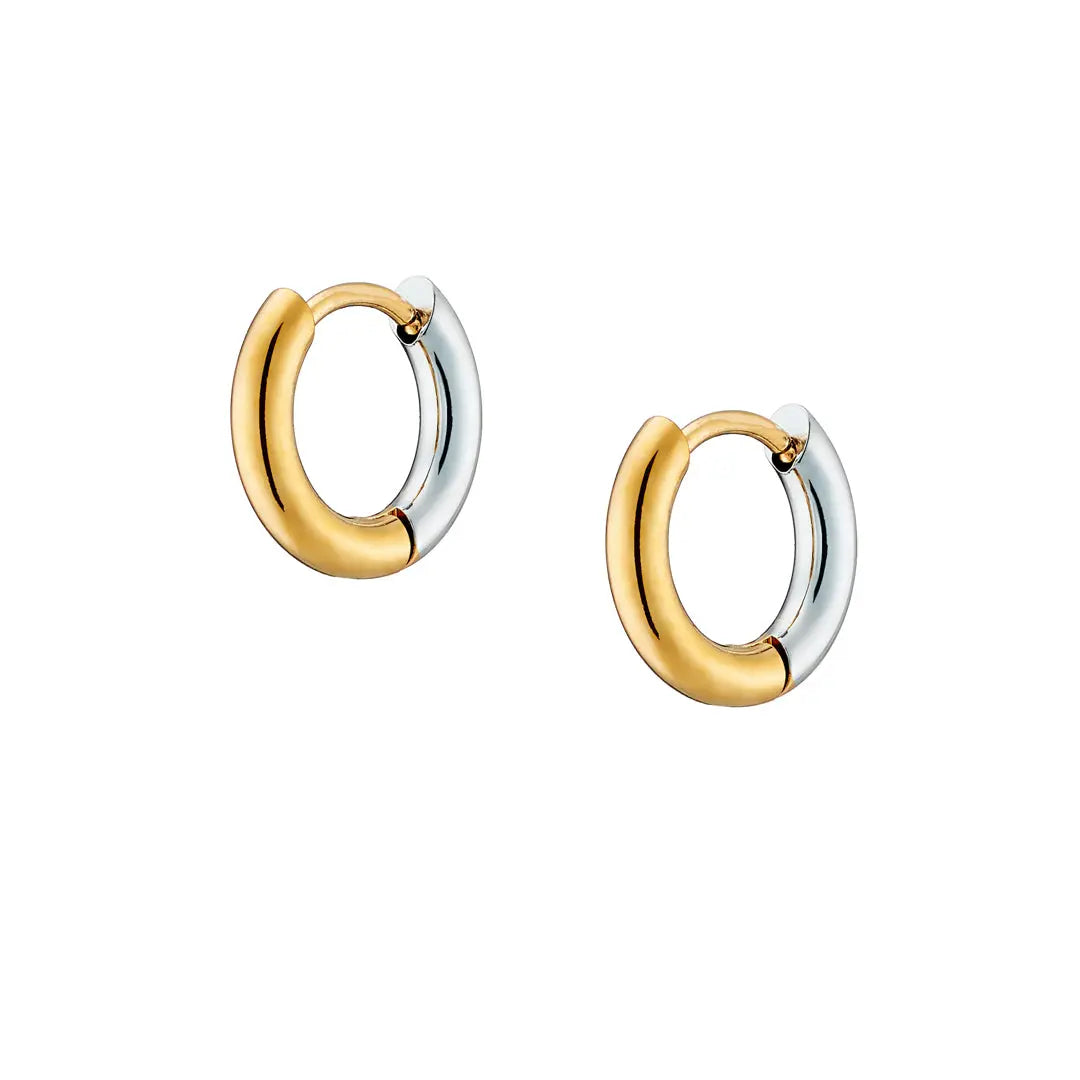 Earrings N02200G Steel Hoops with Multicolored Zirconia