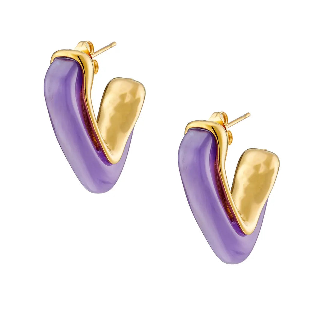 Earrings N02200G Steel Hoops with Multicolored Zirconia