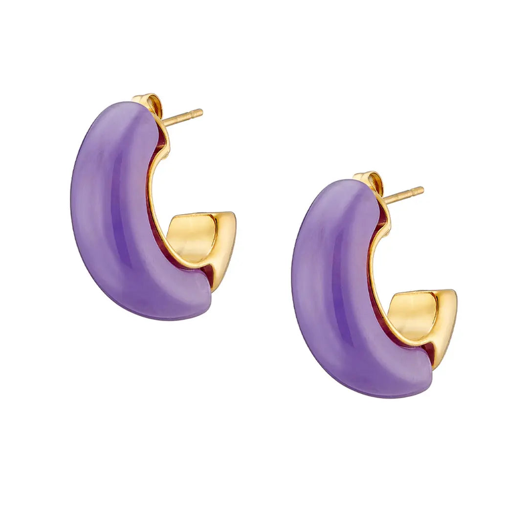Earrings N02200G Steel Hoops with Multicolored Zirconia