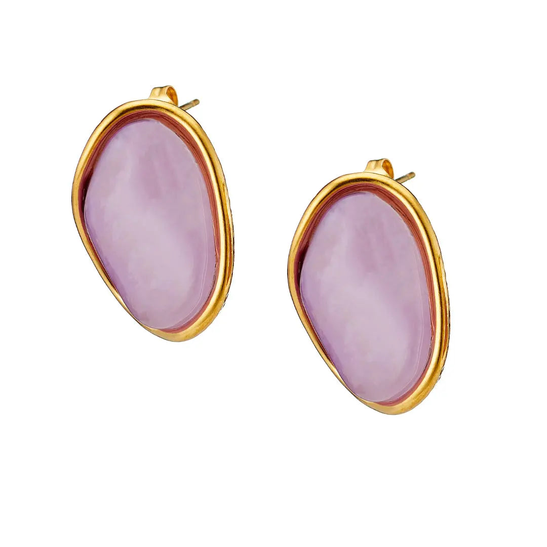 Earrings N02200G Steel Hoops with Multicolored Zirconia