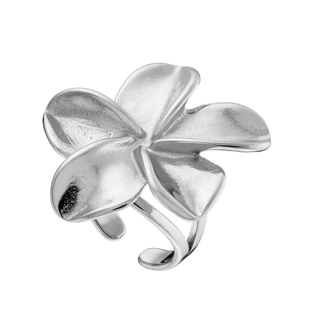 Ring N02491W Made of Stainless Steel