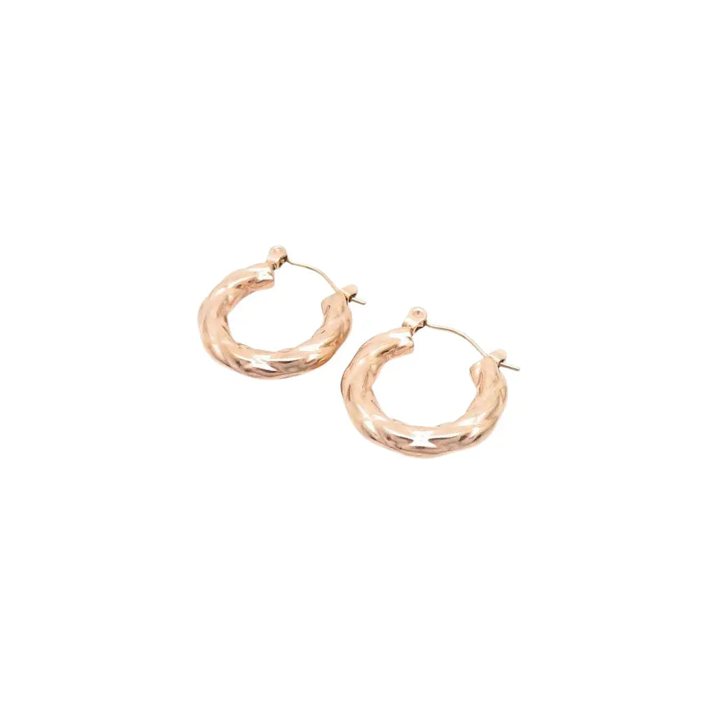 Puppis PUW89019G Gold Plated Steel Hoop Earrings