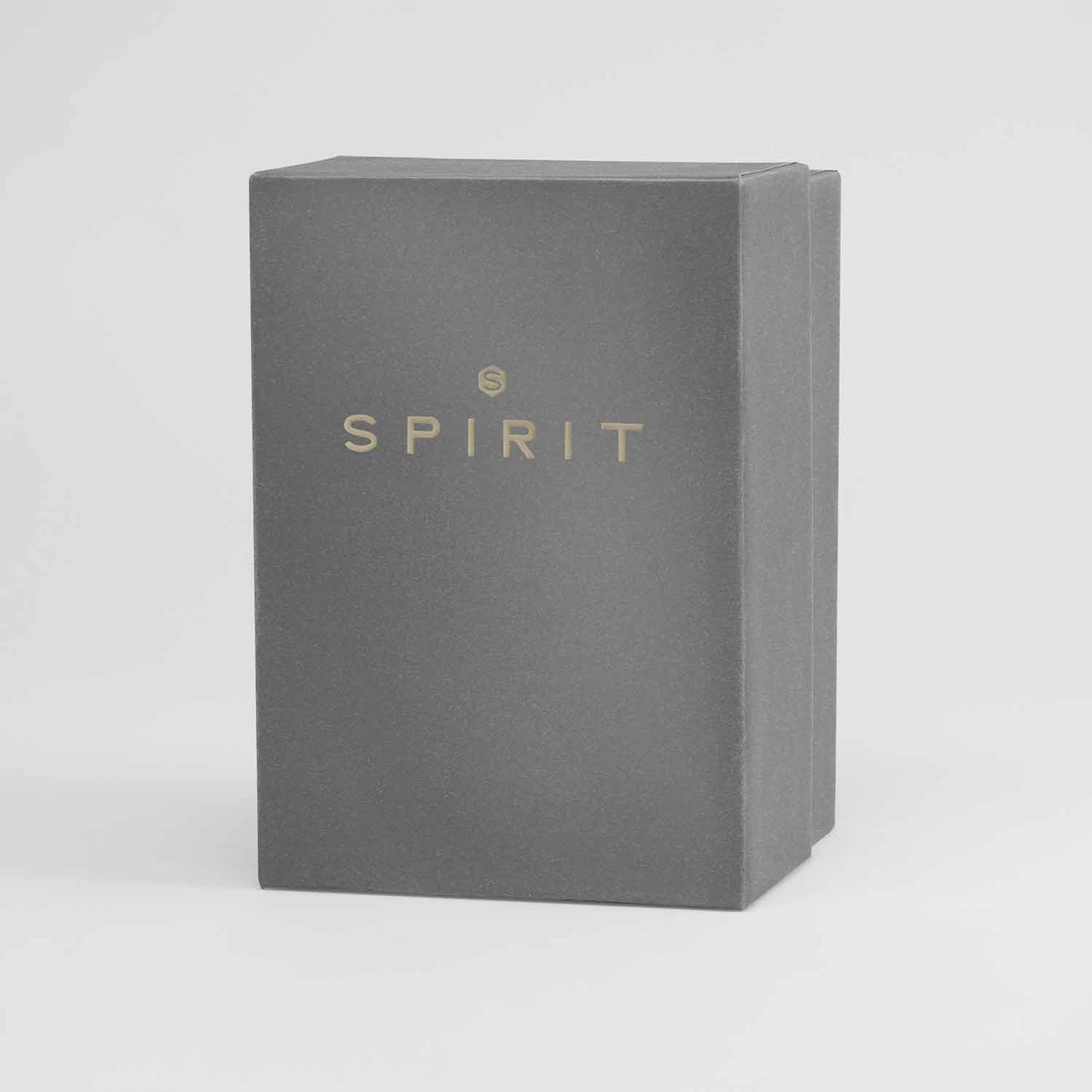 Spirit SP1006 Chronograph Black Leather Strap
