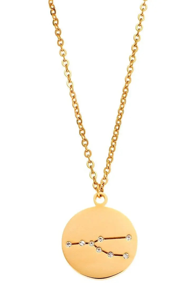 Puppis PUP30083G Κολιέ Ζώδιο Ταύρος Από Ατσάλι - Κοσμηματοπωλείο Goldy