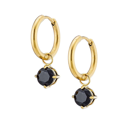 N02139G Gold Plated Steel Dangle Earrings