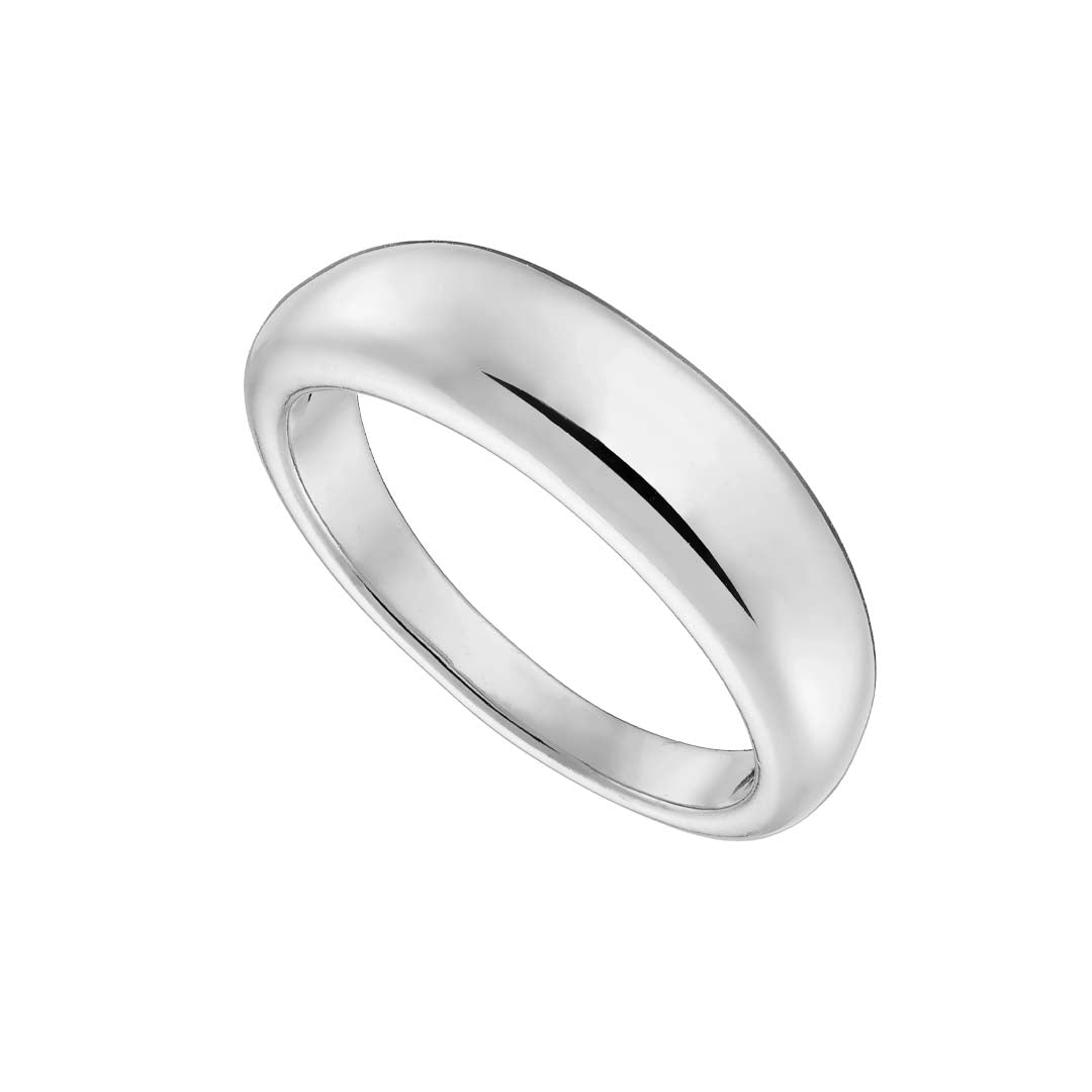 Ring N02491W Made of Stainless Steel