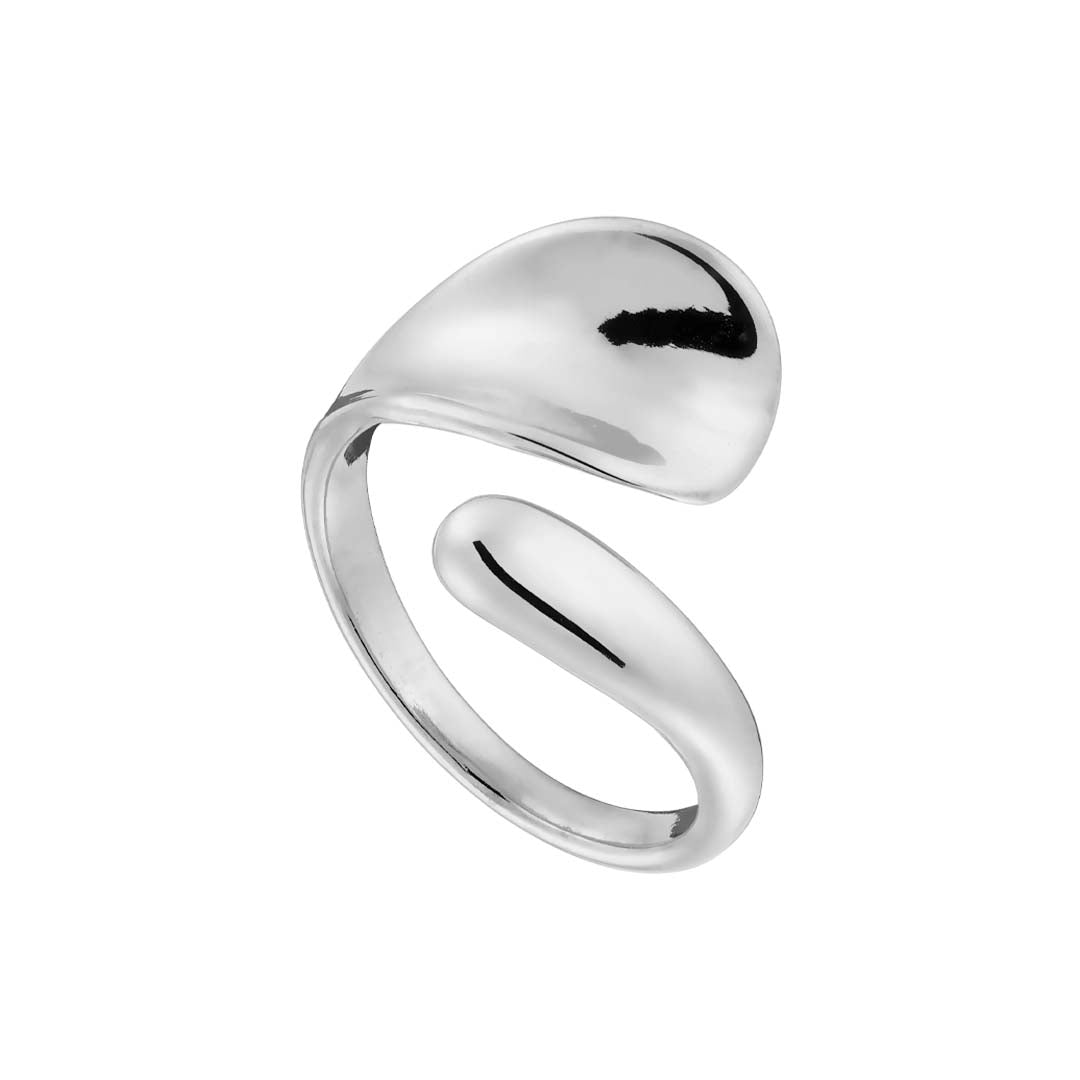 Ring N02491W Made of Stainless Steel