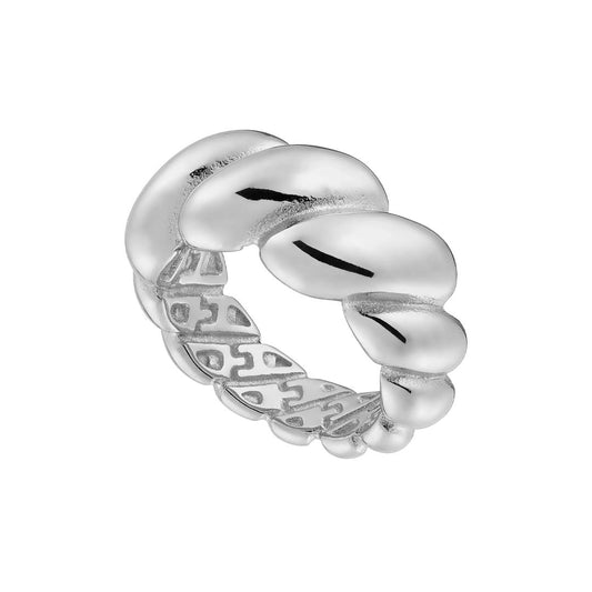 Ring N02491W Made of Stainless Steel