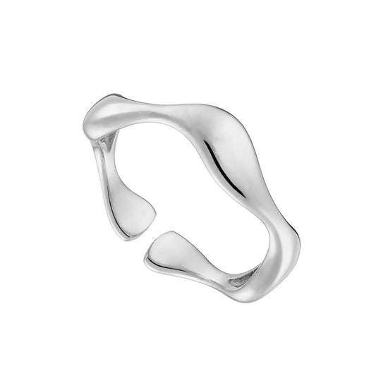 Ring N02491W Made of Stainless Steel