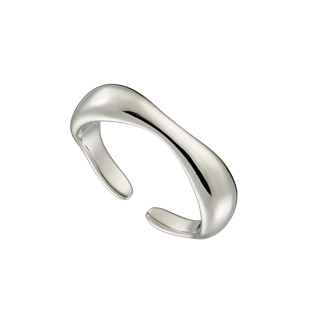 Ring N02491W Made of Stainless Steel