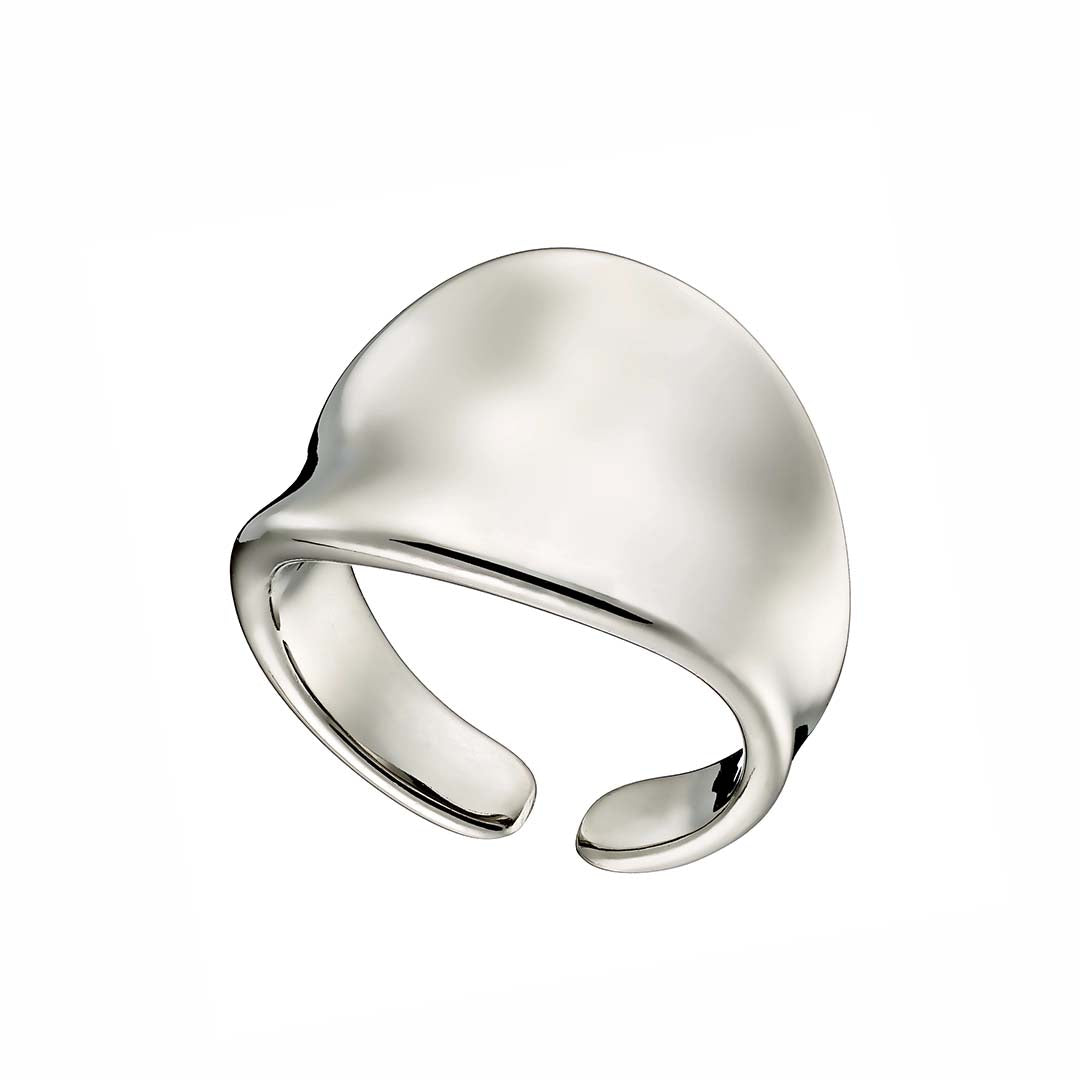 Ring N02491W Made of Stainless Steel