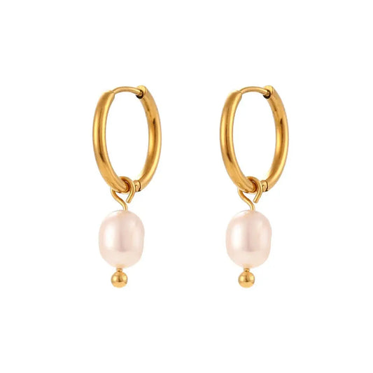 Earrings N02200G Steel Hoops with Multicolored Zirconia