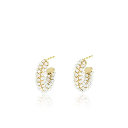 N02183G Gold Plated Steel Heart Dangle Earrings