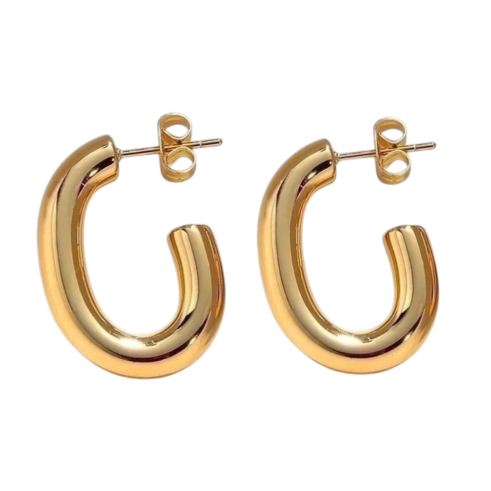 Earrings N02200G Steel Hoops with Multicolored Zirconia