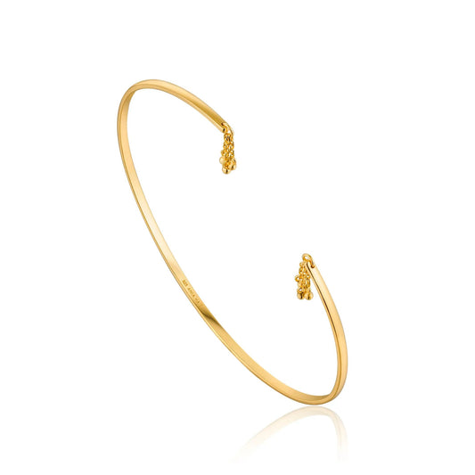 Breeze 313004.1 Gold Plated Silver Bracelet