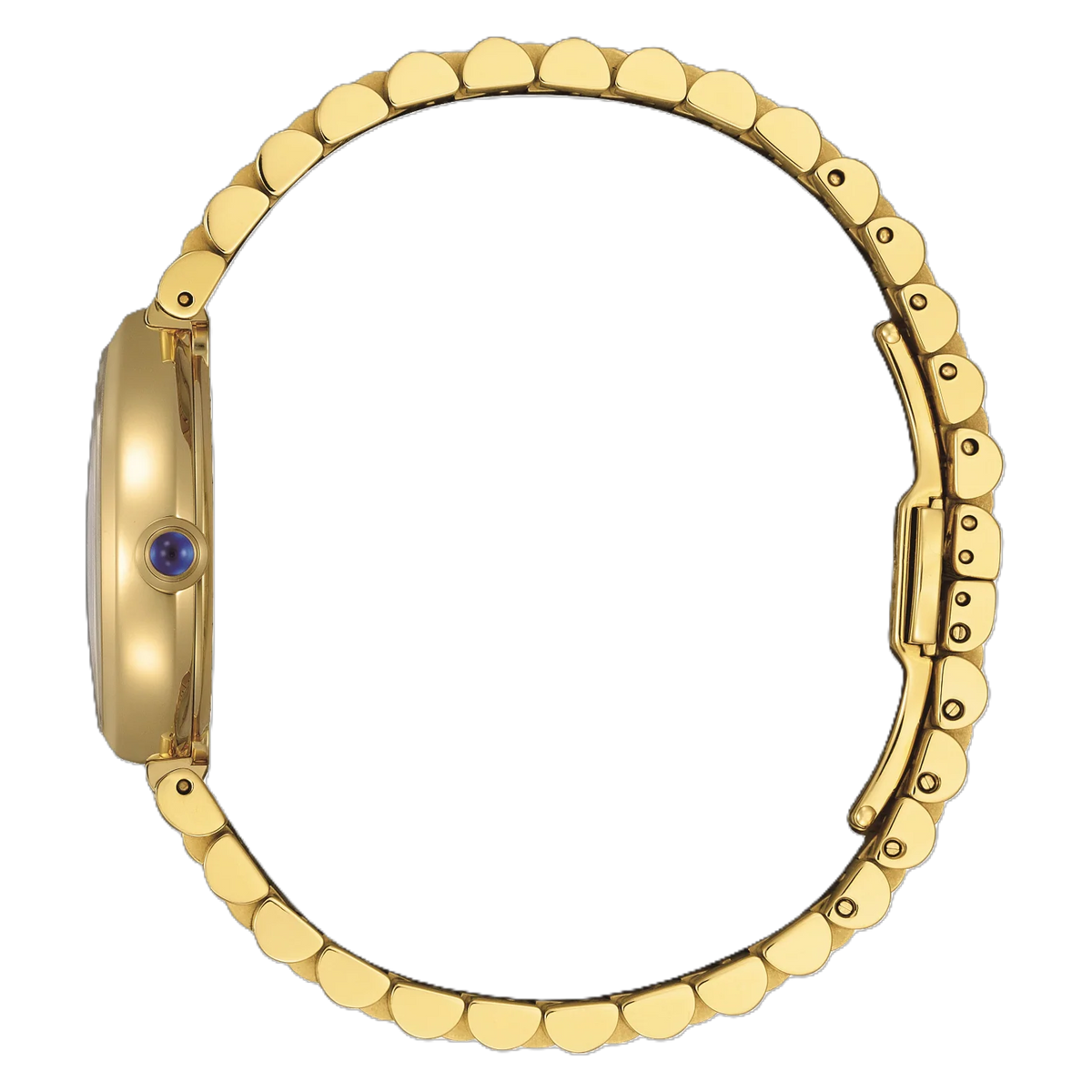 Citizen EM1208-53A Eco-Drive Gold Stainless Steel Bracelet