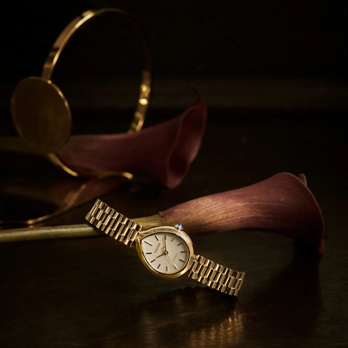 Citizen EM1208-53A Eco-Drive Gold Stainless Steel Bracelet