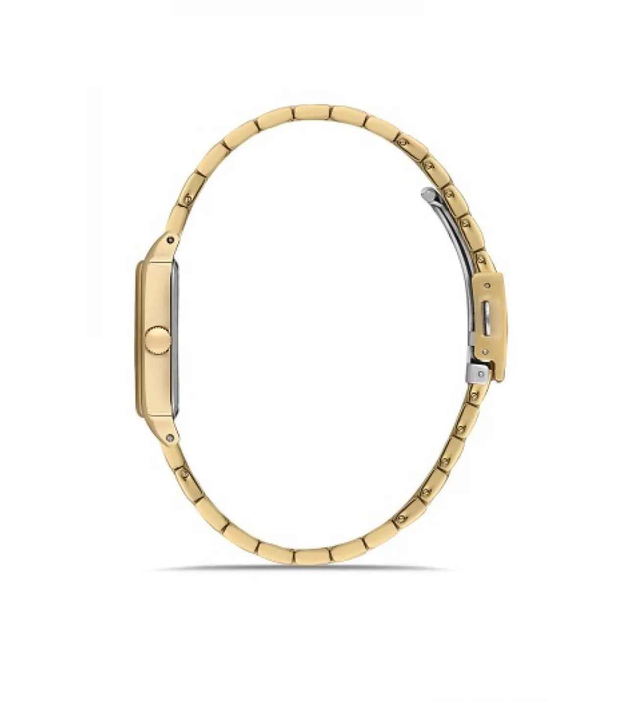 Ferro FL40101A-B Gold Stainless Steel Bracelet