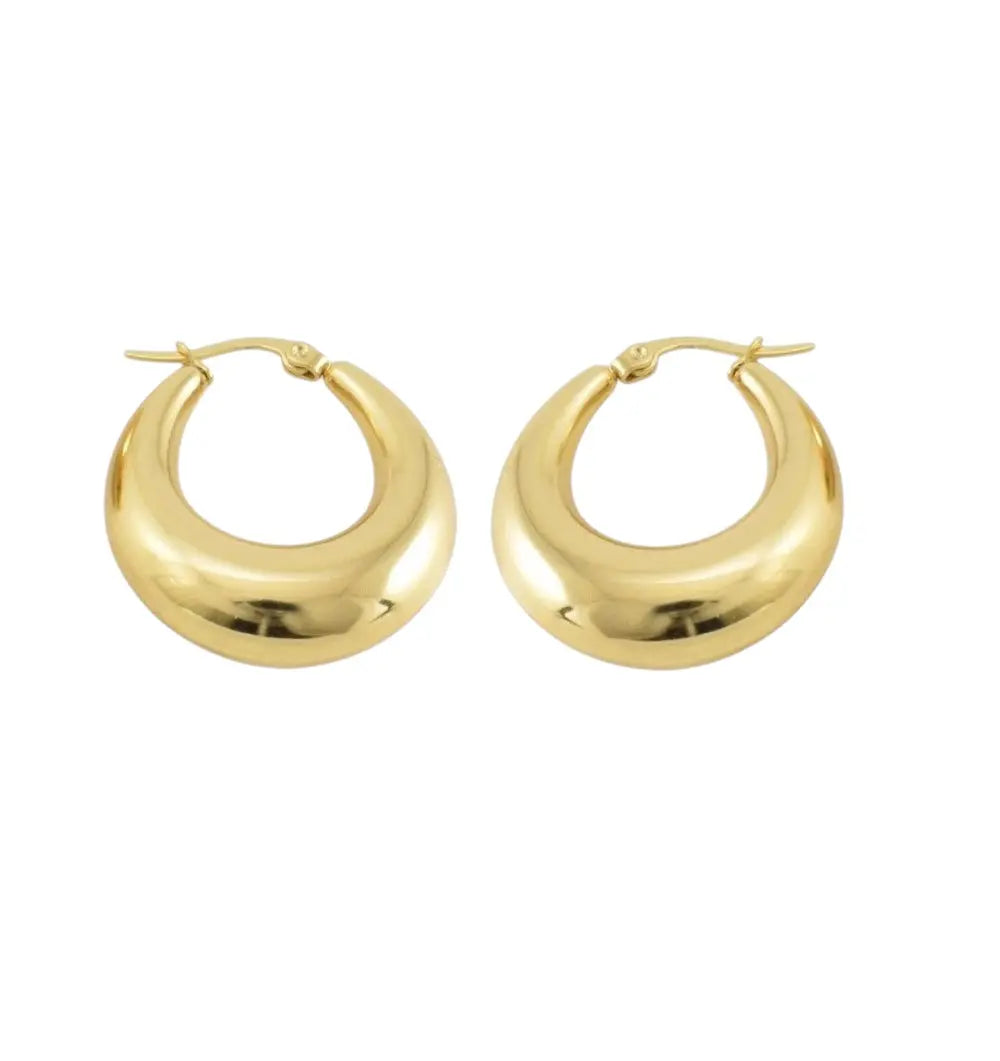 Earrings N02200G Steel Hoops with Multicolored Zirconia