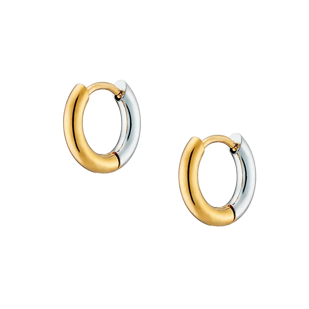 Earrings N02200G Steel Hoops with Multicolored Zirconia