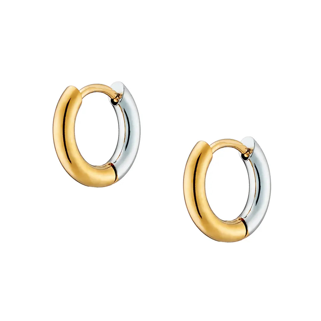 Earrings N02200G Steel Hoops with Multicolored Zirconia