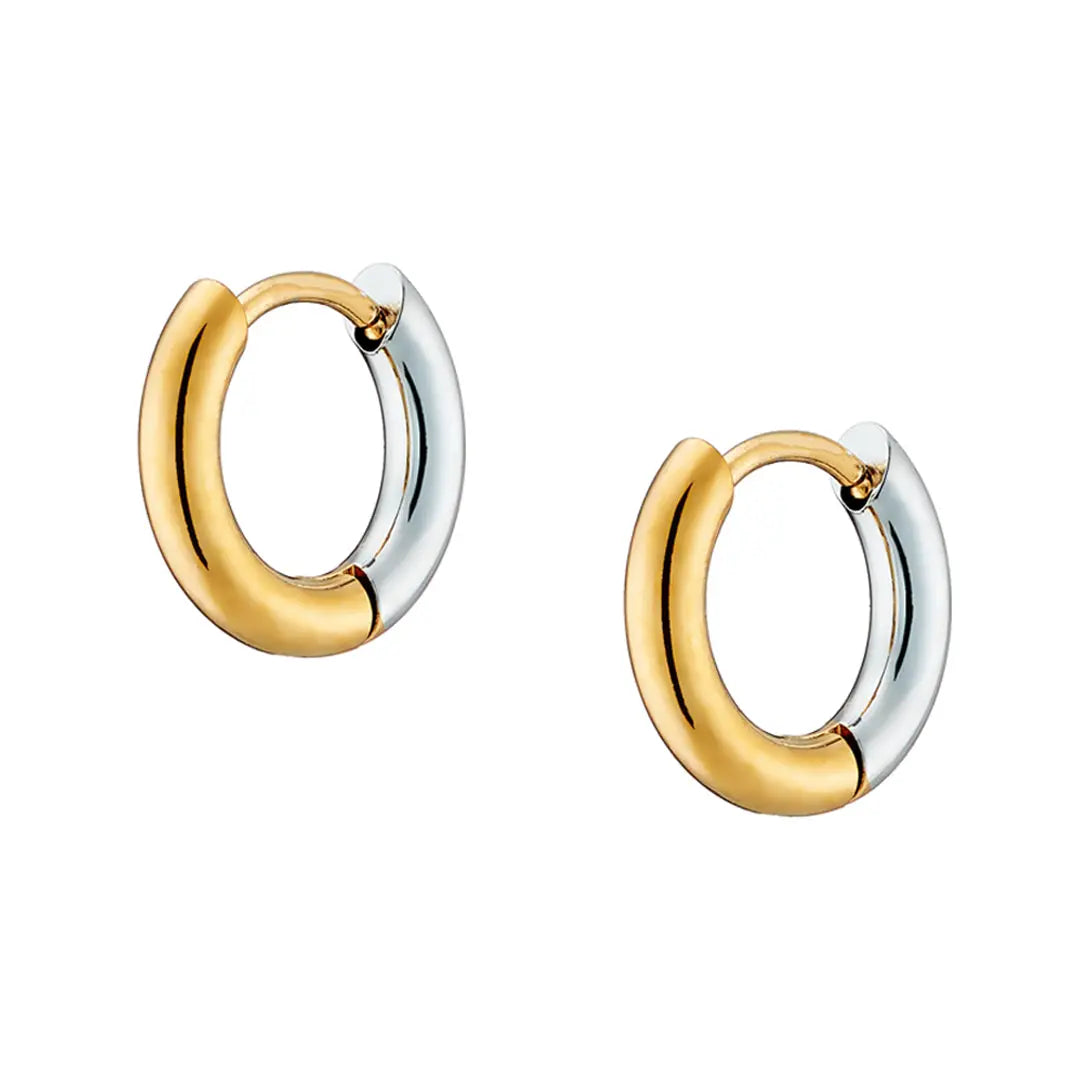 Earrings N02200G Steel Hoops with Multicolored Zirconia