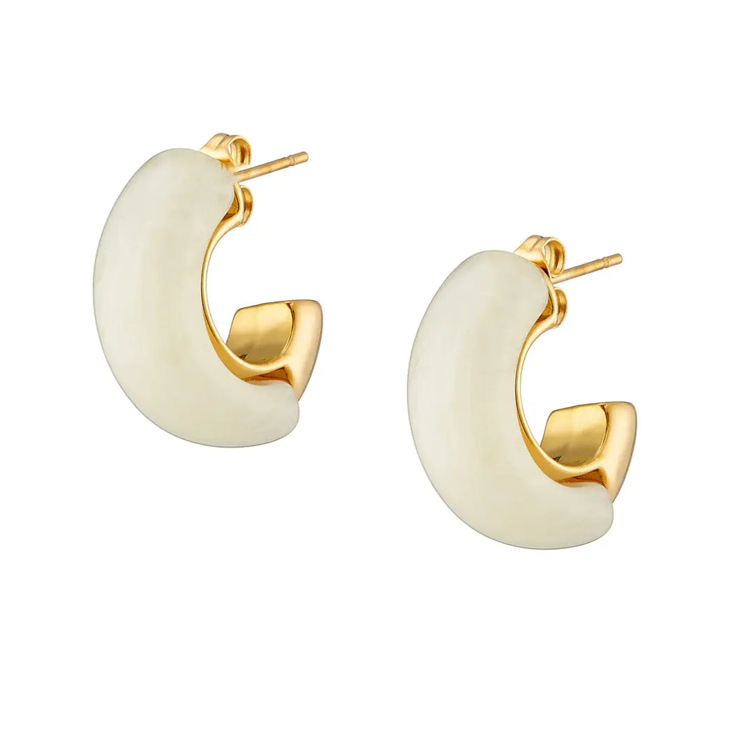 Earrings N02200G Steel Hoops with Multicolored Zirconia
