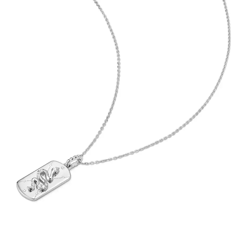 GM220W Zircon Heart Necklace In Platinum Plated Silver