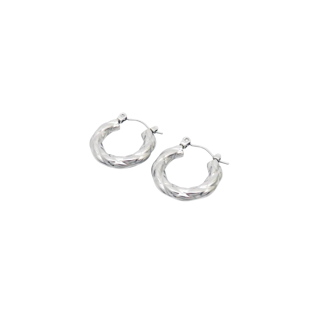 Puppis PUW89019G Gold Plated Steel Hoop Earrings