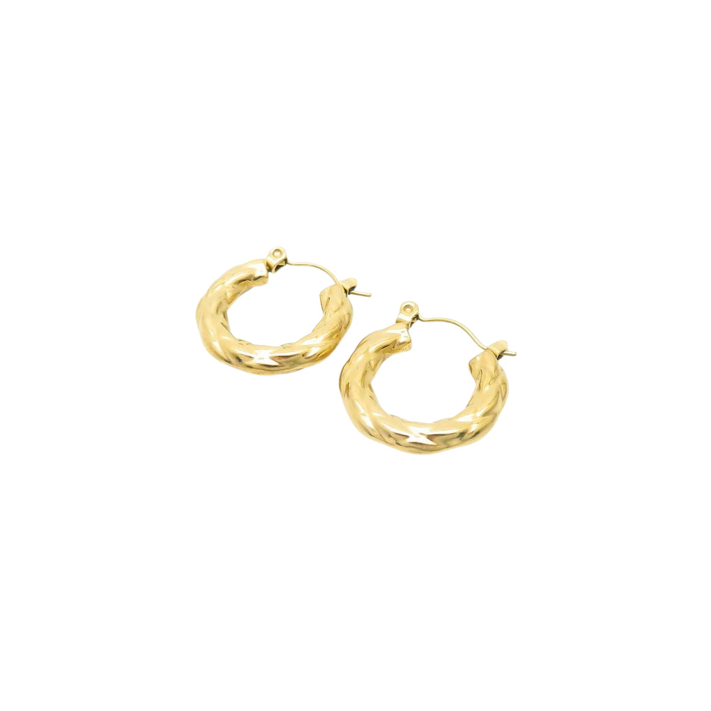 Puppis PUW89019G Gold Plated Steel Hoop Earrings