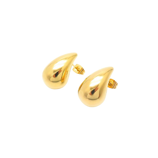 Puppis PUW11382G Gold Plated Steel Dangle Earrings