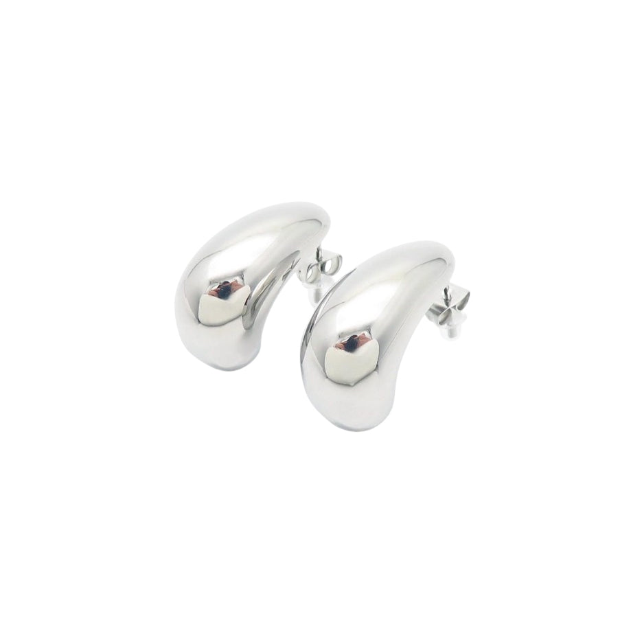 Puppis PUW11950S Stainless Steel Earrings