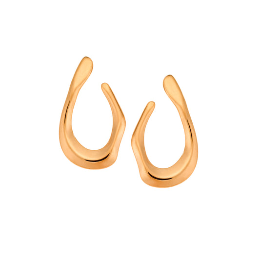 Puppis PUW89019G Gold Plated Steel Hoop Earrings