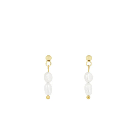 N02183G Gold Plated Steel Heart Dangle Earrings