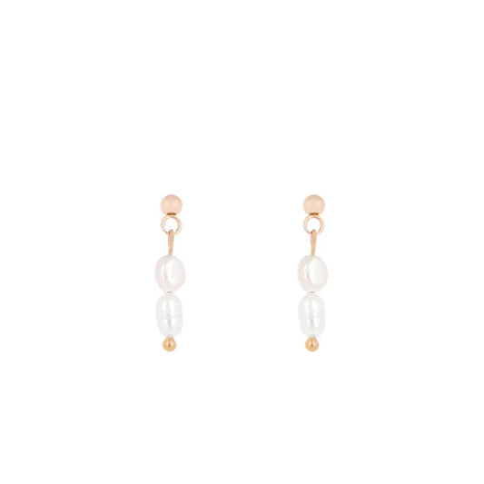 N02183G Gold Plated Steel Heart Dangle Earrings
