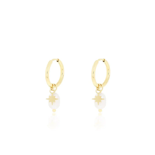 N02183G Gold Plated Steel Heart Dangle Earrings