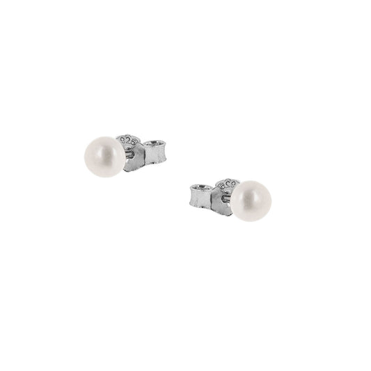 SC270-1W Stud Earrings in Platinum Plated Silver