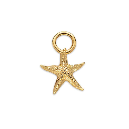PAUL HEWITT PH-JE-0426 Charms Starfish από Επιχρυσωμένο Ατσάλι - Κοσμηματοπωλείο Goldy